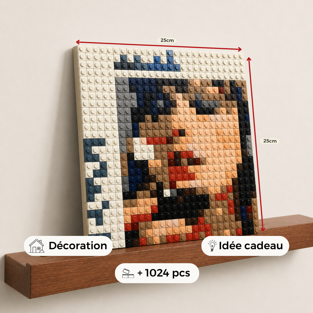 Modèle : Anti-Bricks