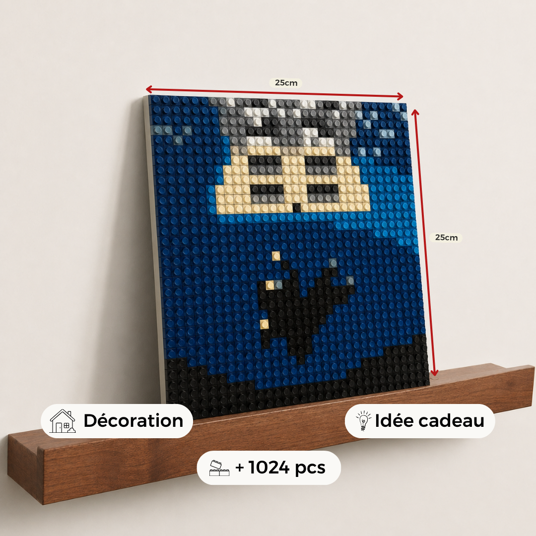 Modèle : Bricks of a feather