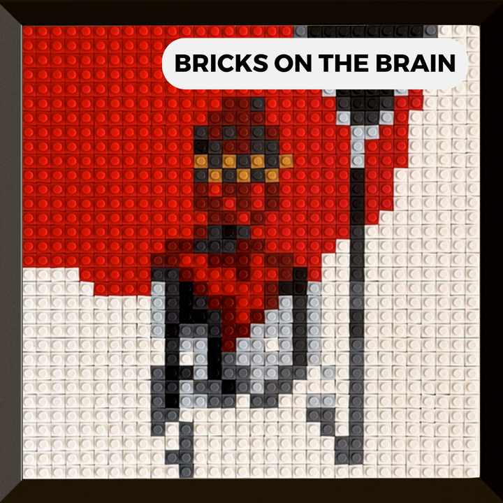 Modèle : BRICKS ON THE BRAIN