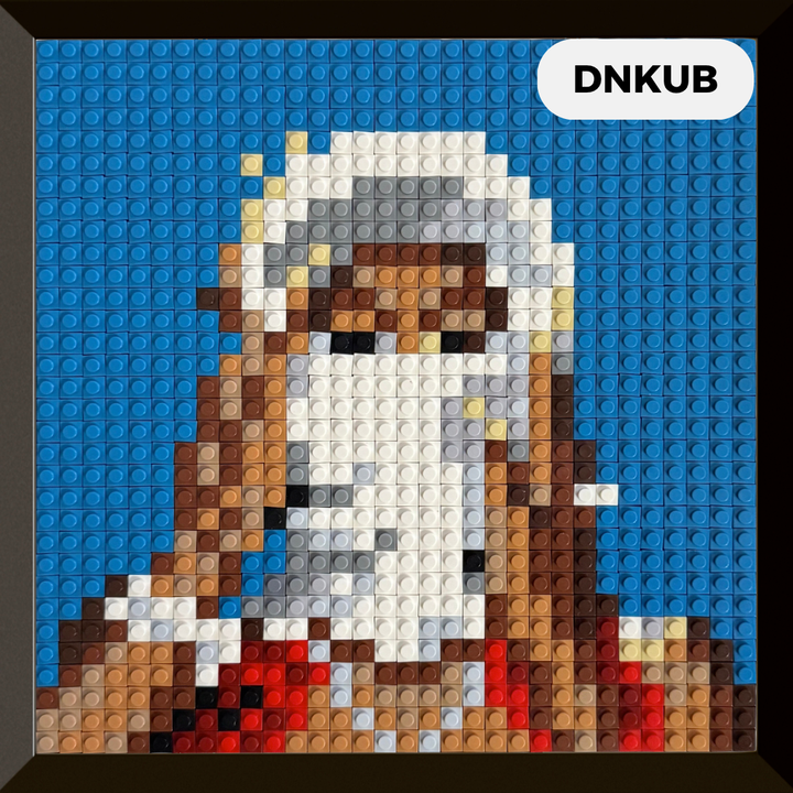 Modèle : DNKUB