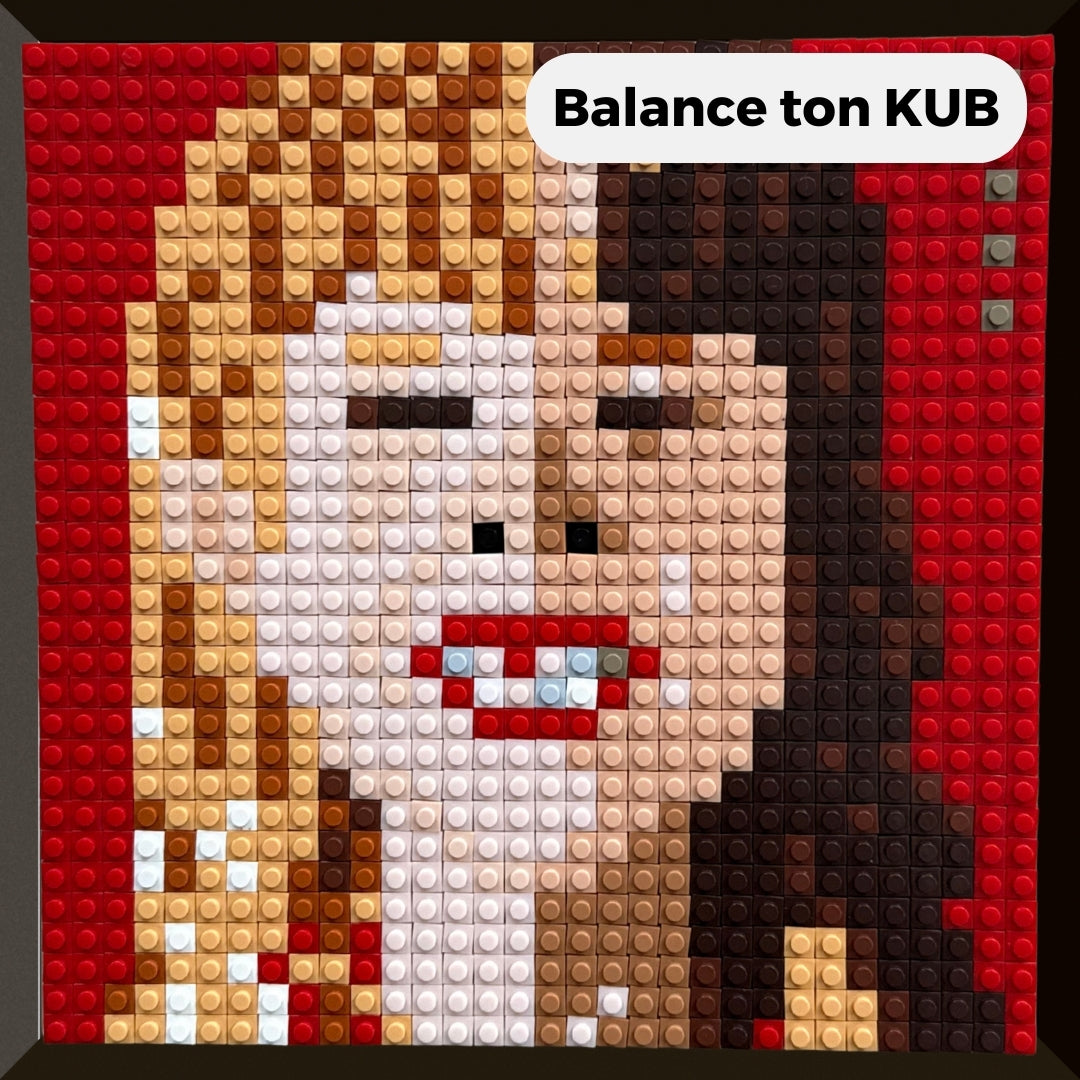 Modèle : Balance ton KUB