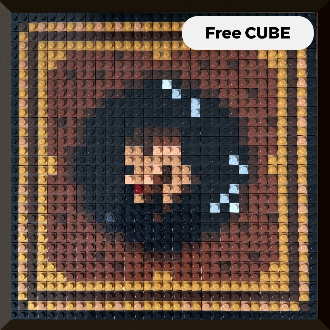 Modèle : Free CUBE
