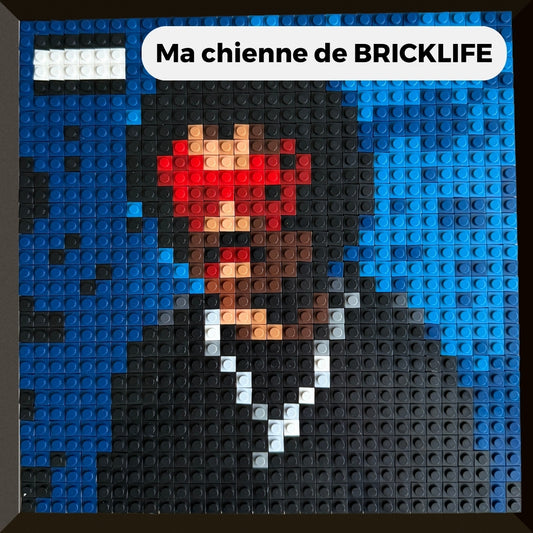 Modèle : Ma chienne de BRICKLIFE