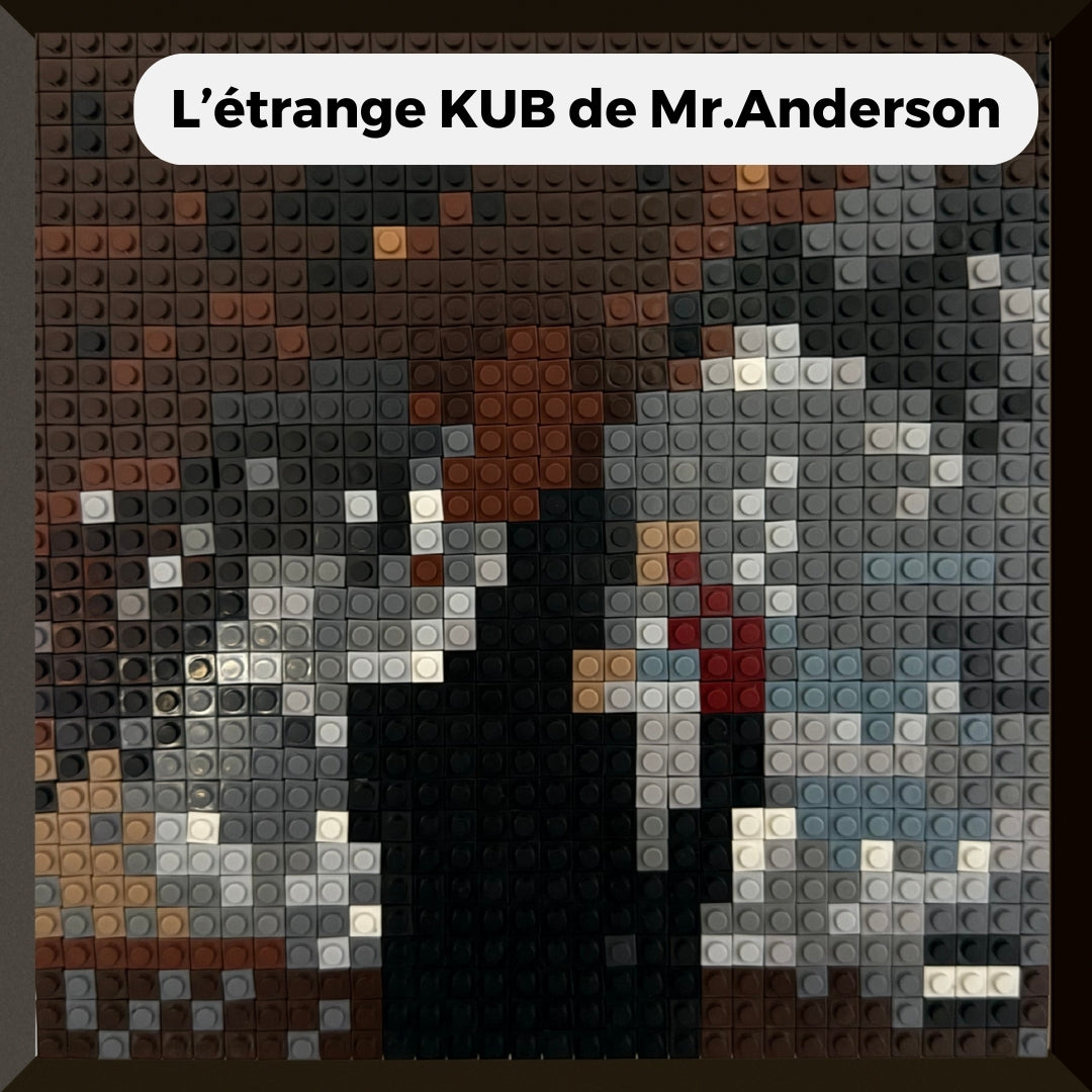Modèle : L'étrange KUB de Mr.Anderson