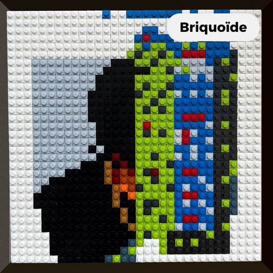 Modèle : Briquoïde