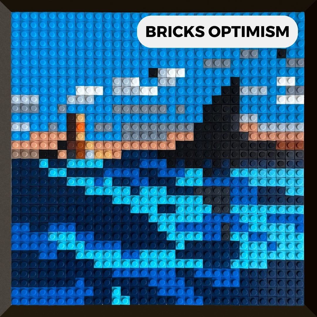 Modèle : BRICKS OPTIMISM