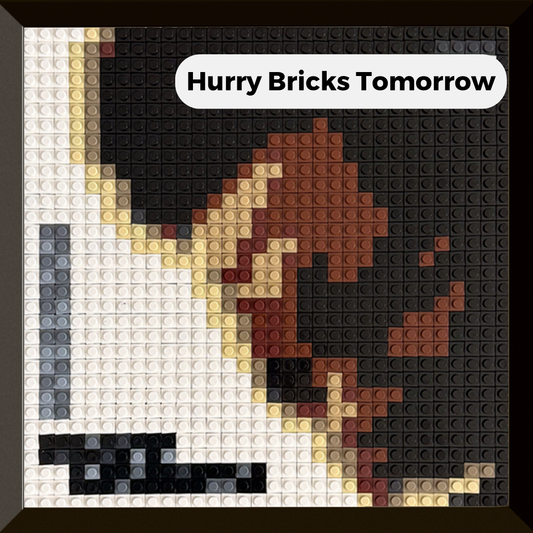 Modèle : Hurry Bricks Tomorrow