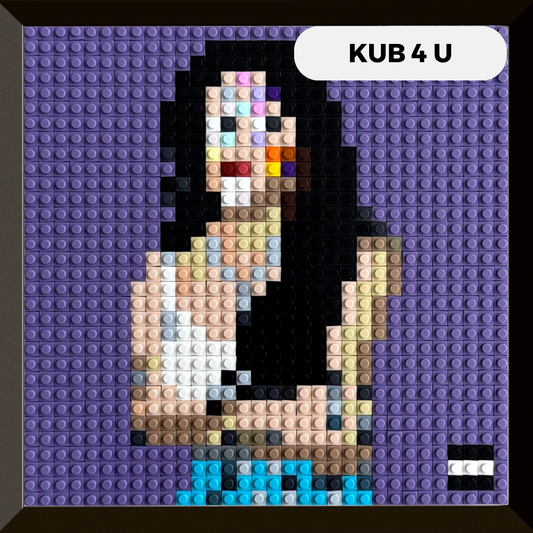Modèle : KUB 4 U