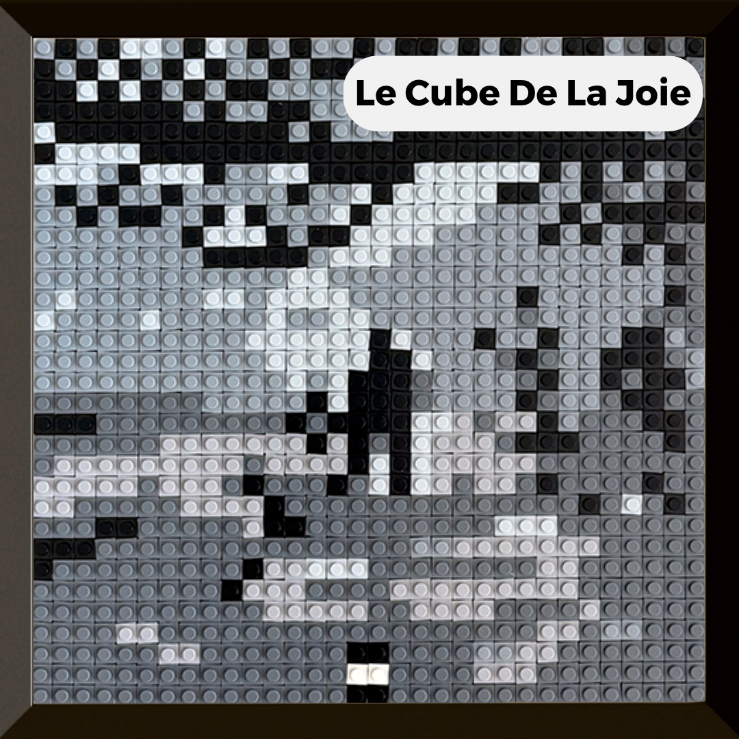 Modèle : Le Cube De La Joie