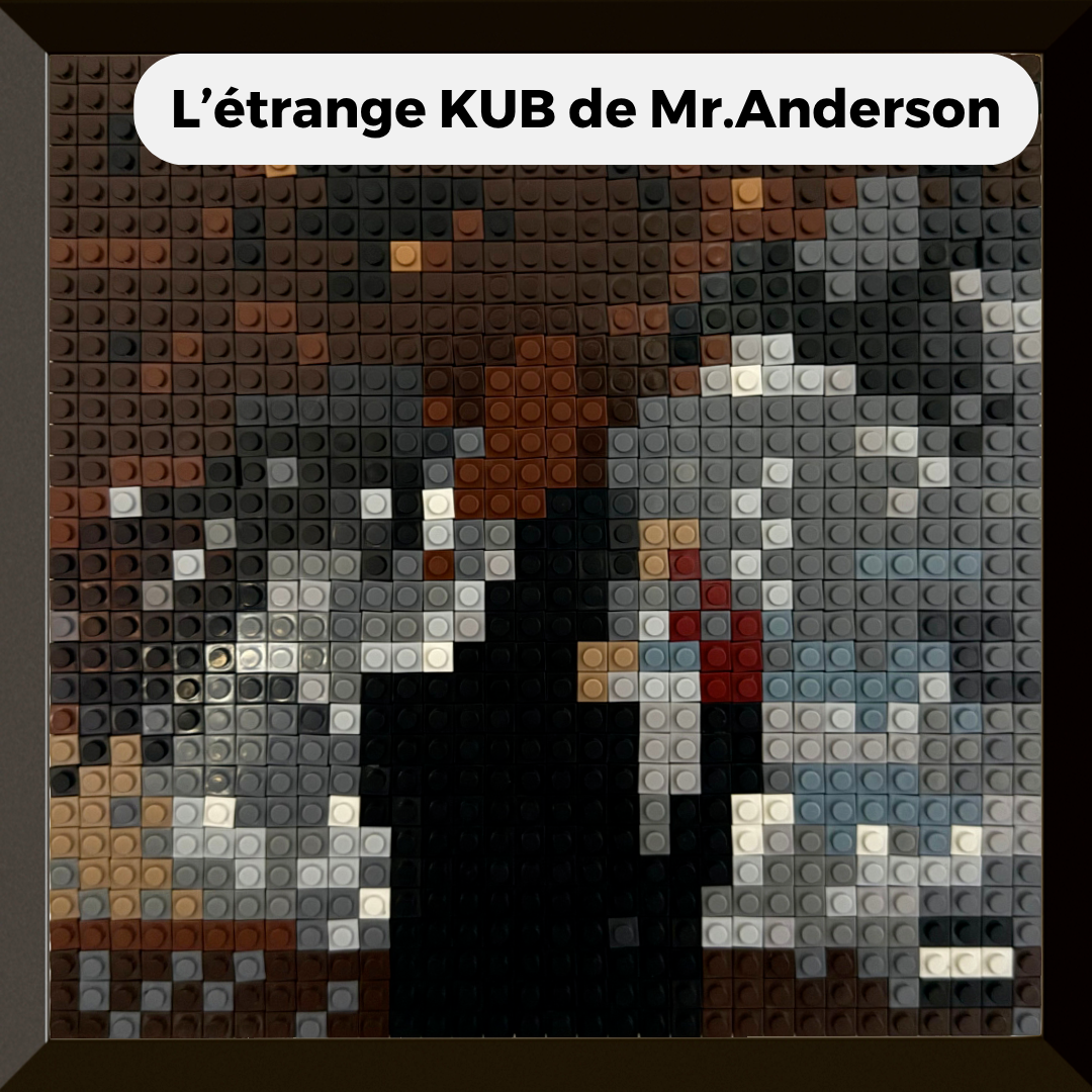 Modèle : L'étrange KUB de Mr.Anderson