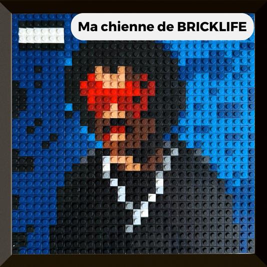Modèle : Ma chienne de BRICKLIFE