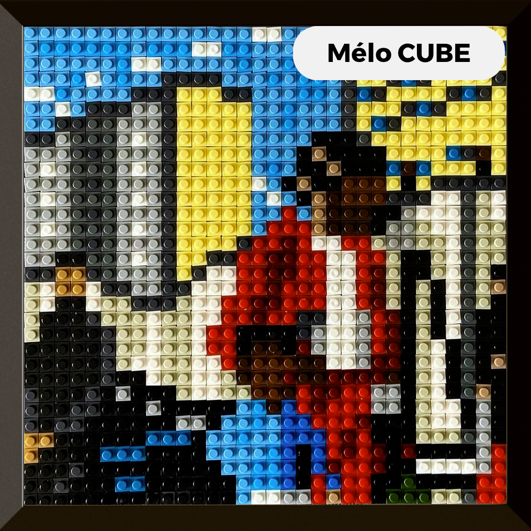 Modèle : Mélo CUBE