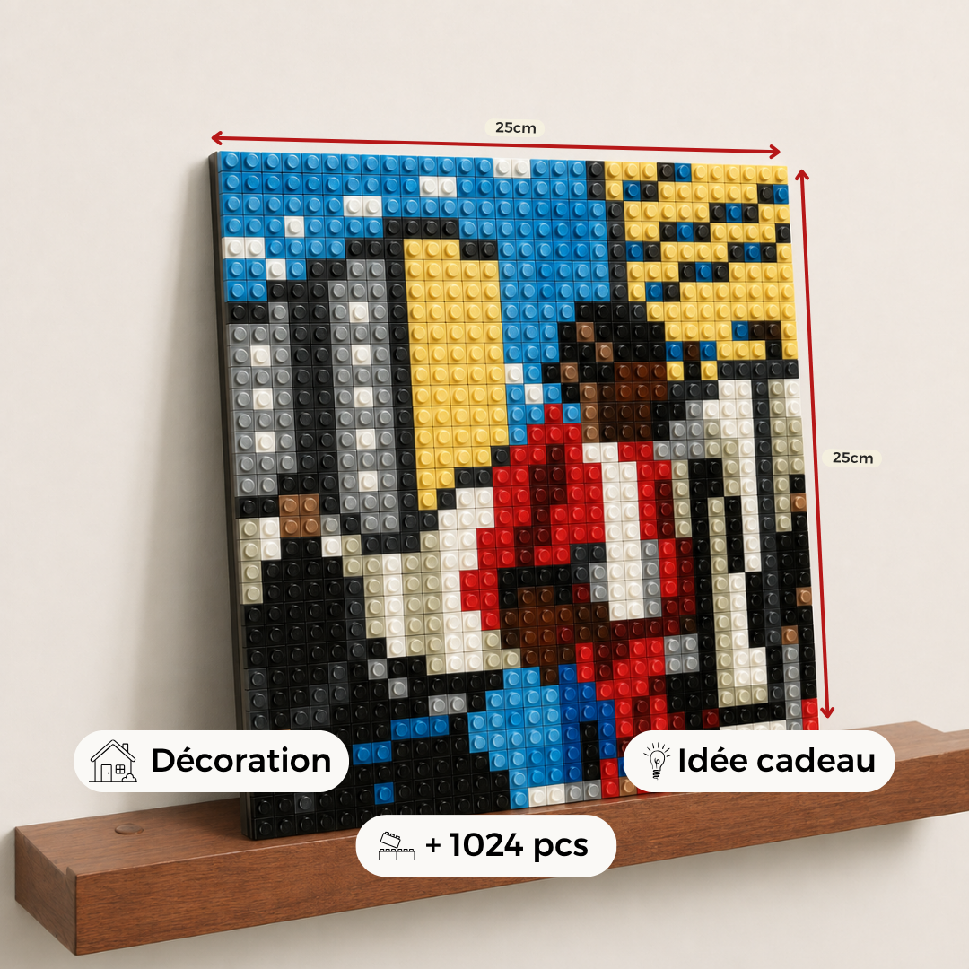 Modèle : Mélo CUBE