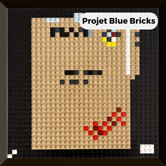 Modèle : Projet Blue Bricks