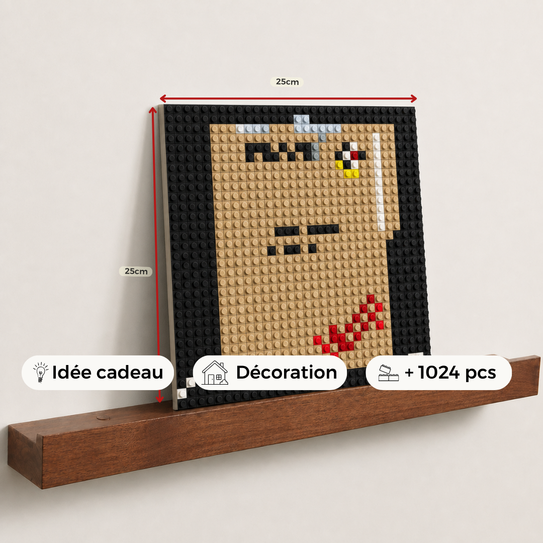Modèle : Projet Blue Bricks