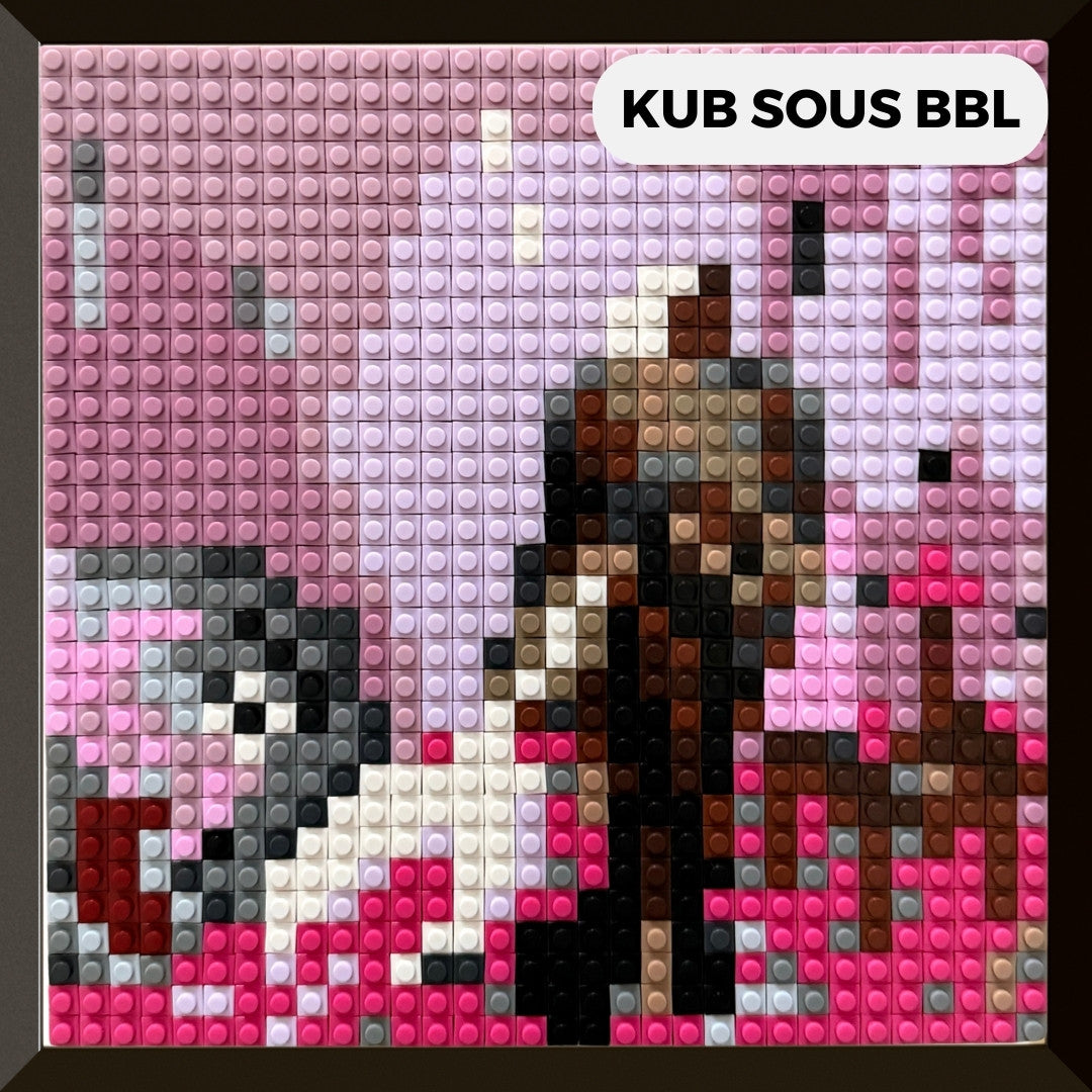 Modèle : KUB SOUS BBL